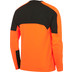 Nike Team Handball Court Goalkeeper Shirt Heren