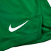 Nike Team Short Dames
