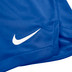 Nike Team Short Dames