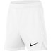 Nike Team Handball Trainingsset Kids