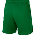 Nike Team Short Kids