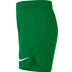 Nike Team Short Kids