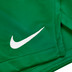 Nike Team Short Kids