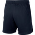 Nike Team Handball Court Short Kinder