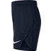 Nike Team Handball Court Short Kinder
