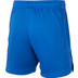 Nike Team Short Kids