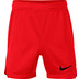 Nike Team Short Kids