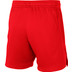 Nike Team Short Kids