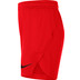 Nike Team Short Kids