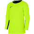 Nike Team Handball Torwartshirt Kinder