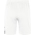 Nike Team Volleyball Spike Short Heren
