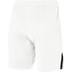Nike Team Volleyball Spike Short Heren