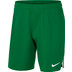 Nike Team Volleyball Spike Short Herren