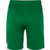 Nike Team Volleyball Spike Short Herren