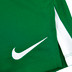 Nike Team Volleyball Spike Short Herren