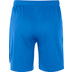 Nike Team Volleyball Spike Short Herren