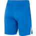 Nike Team Volleyball Spike Short Herren