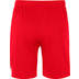 Nike Team Volleyball Spike Short Herren