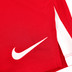 Nike Team Volleyball Spike Short Herren