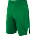 Nike Team Volleyball Spike Short Kinder