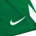 Nike Team Volleyball Spike Short Kinder