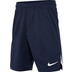 Nike Team Volleyball Spike Short Kinder