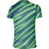 Mizuno DryAeroFlow Graphic T-Shirt Heren