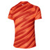 Mizuno DryAeroFlow Graphic T-Shirt Heren