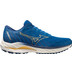 Mizuno Wave Inspire 19 Heren