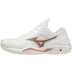 Mizuno Wave Stealth V Dam