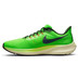 Nike Pegasus 39 Heren