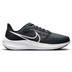 Nike Pegasus 39 Herren 2