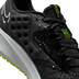 Nike Pegasus 39 Shield Men