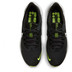 Nike Pegasus 39 Shield Men