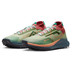 Nike Pegasus Trail 4 GTX Men