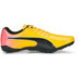 PUMA evoSPEED Prep Sprint 3