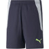 Puma LIGA Training Short