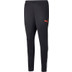 Puma LIGA Trainingspak