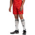 adidas Condivo 22 Keepersshort