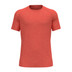 Odlo X-Alp PW 115 T-Shirt Herren 1