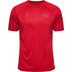 Hummel Denemarken Thuis Tenue Kids