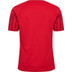 Hummel Denemarken Thuis Tenue Kids
