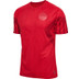 Hummel Denemarken Thuis Tenue Kids