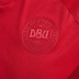 Hummel Denemarken Thuis Tenue Kids