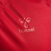 Hummel Denemarken Thuis Tenue Kids