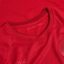 Hummel Denemarken Thuis Tenue Kids