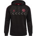 Hummel Denemarken Sweat Trainingspak