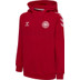 Hummel Denemarken Fan Hoody Kids 4