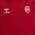 Hummel Denemarken Fan Hoody Kids 6