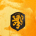 Nike Nederland Authentic Thuis Shirt 9